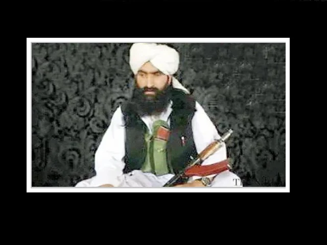 Tehrik-e-Taliban, Noor Wali Mehsud, Global terrorist, 