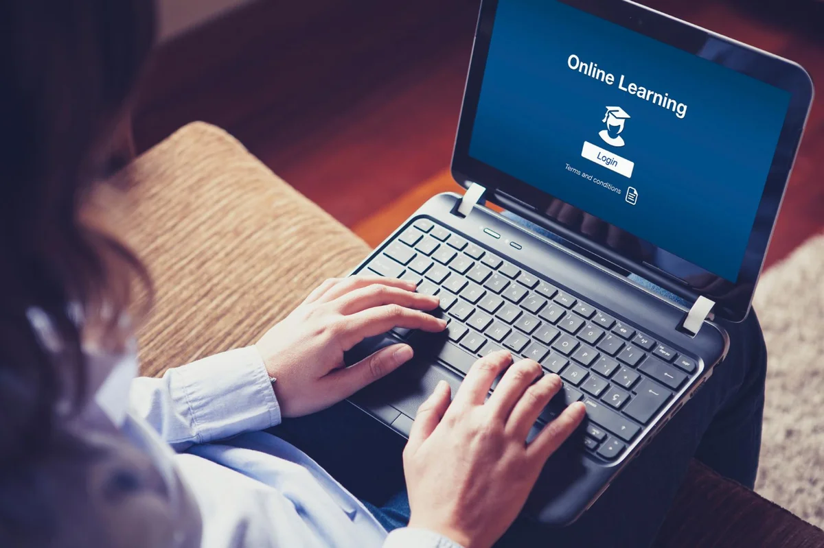 Online Courses: Bridging the Employabili