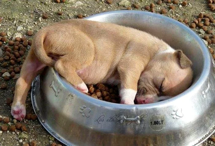 Feel Like Passing Out After Having A Hea