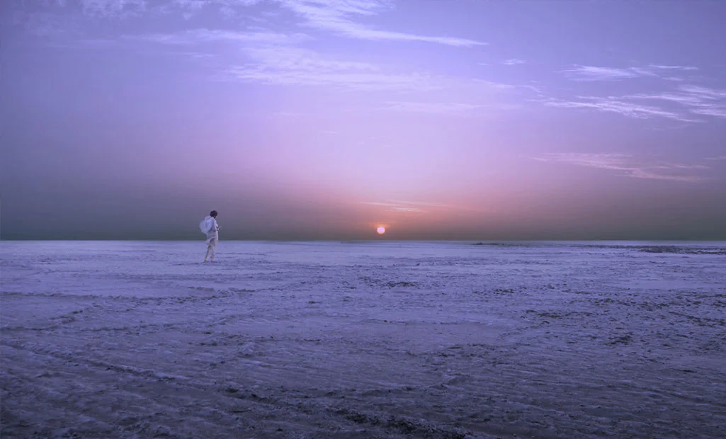 The Walk On White