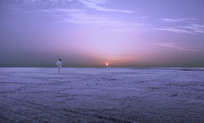 The Walk On White