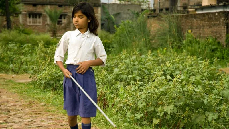 India Is Still Not Disabled-Friendly