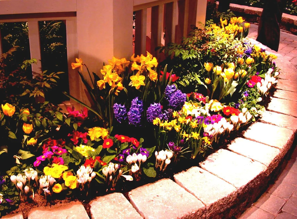 Flower Power!