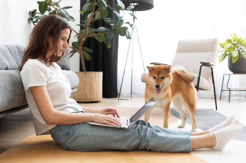 pet