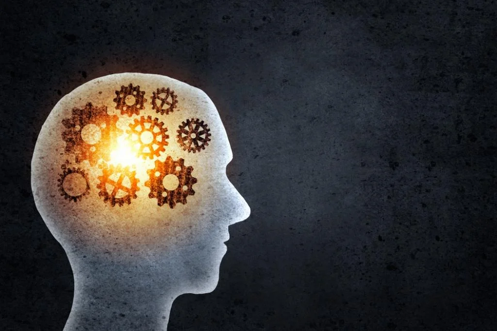 IT Engineering – Masters of Tech