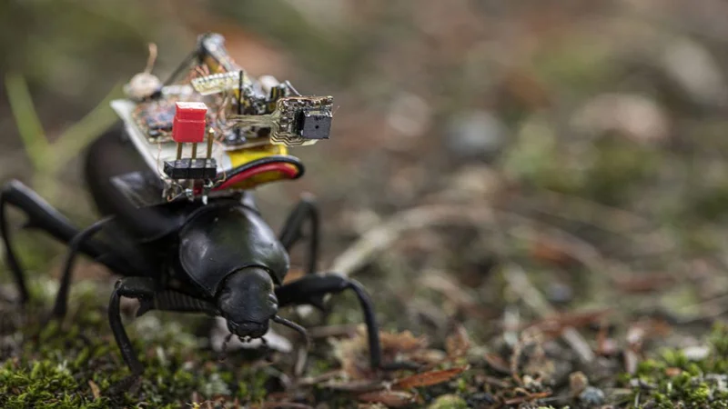 robotic camera backpack