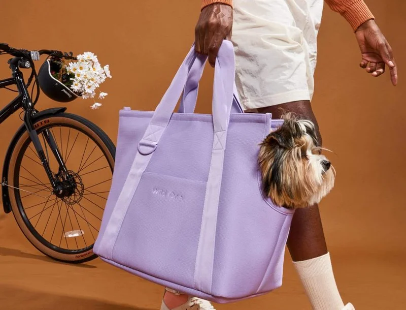 Pantone 2022, Very Peri